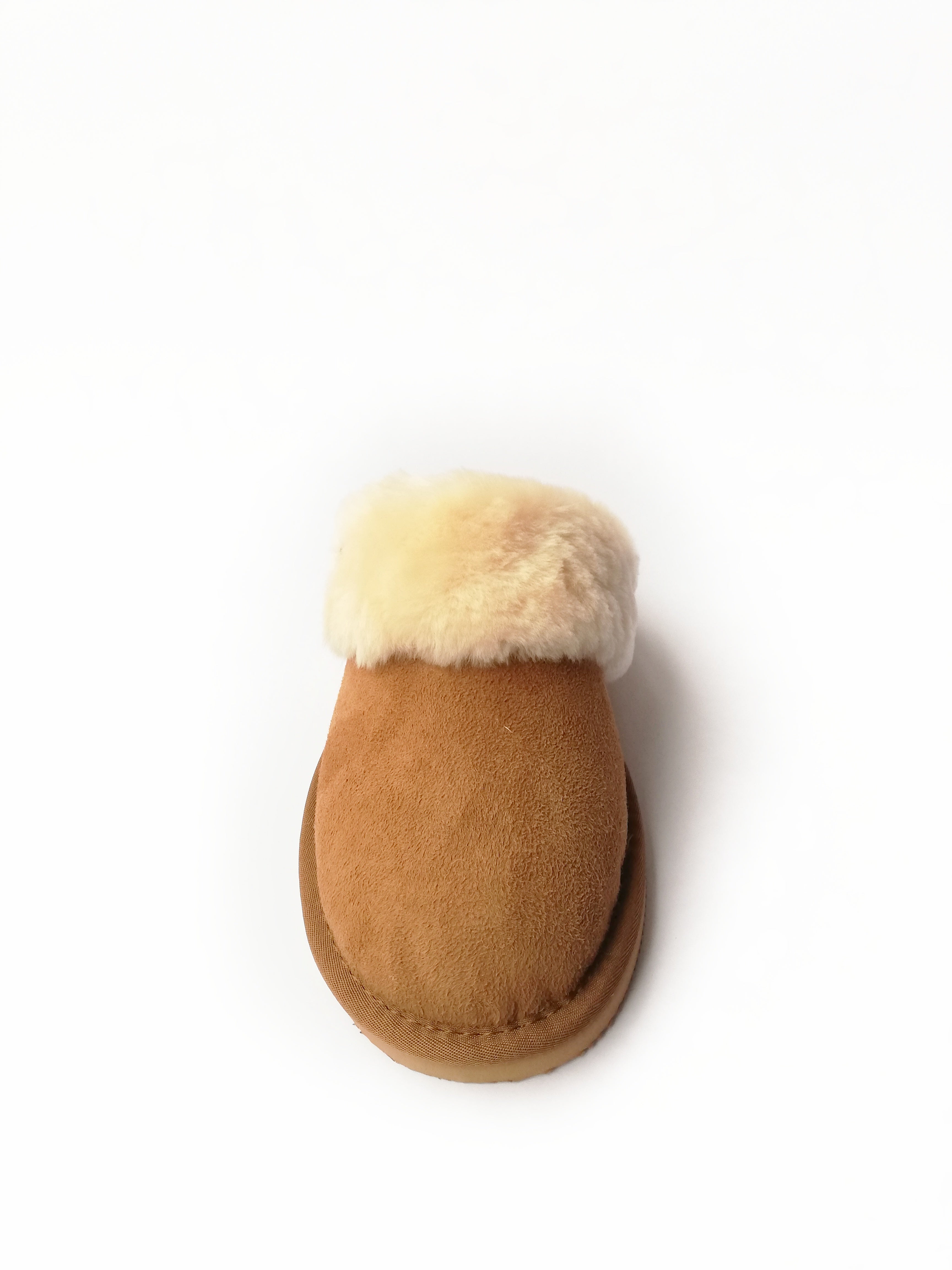 Camel Slipper