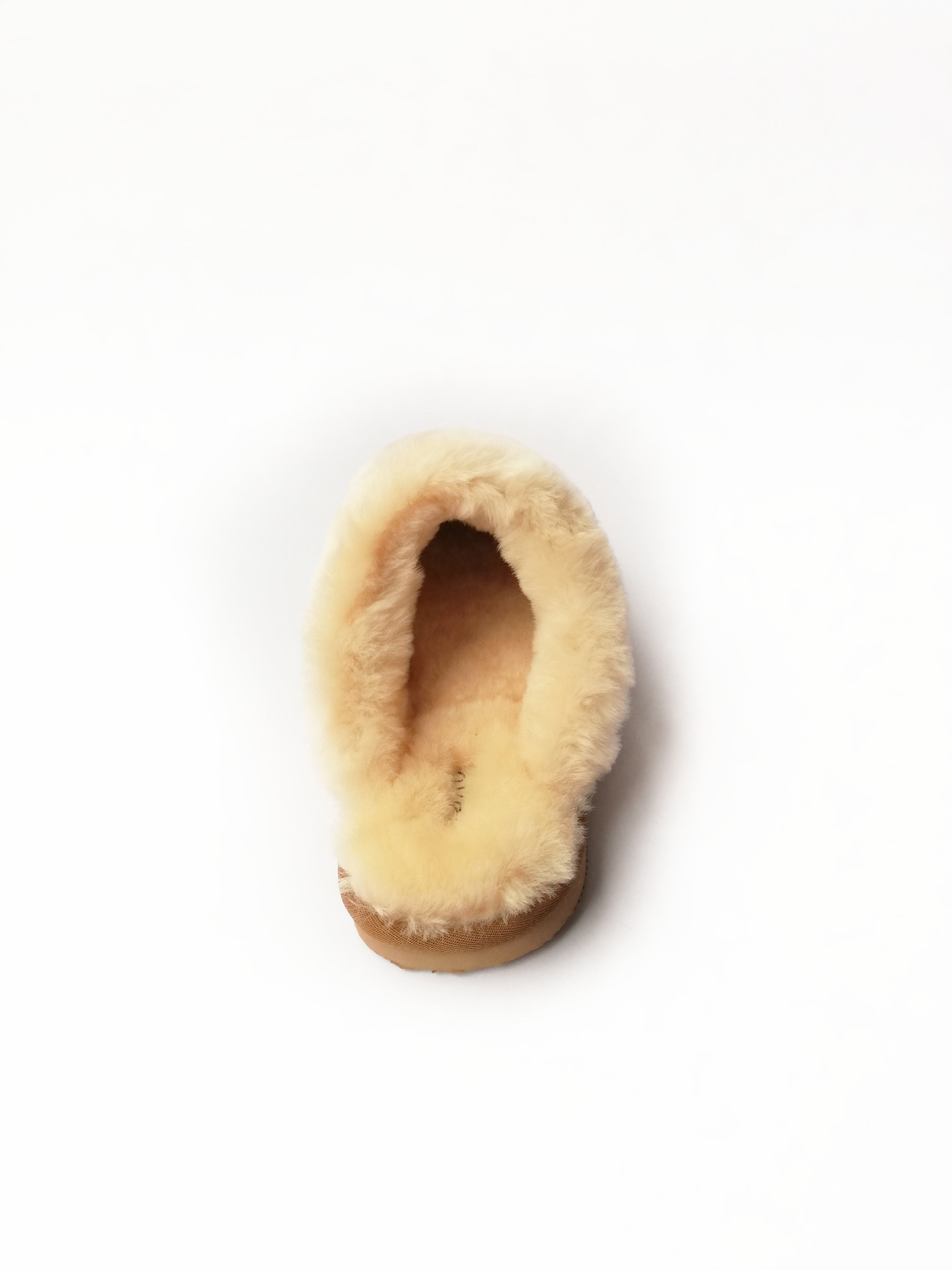 Camel Slipper