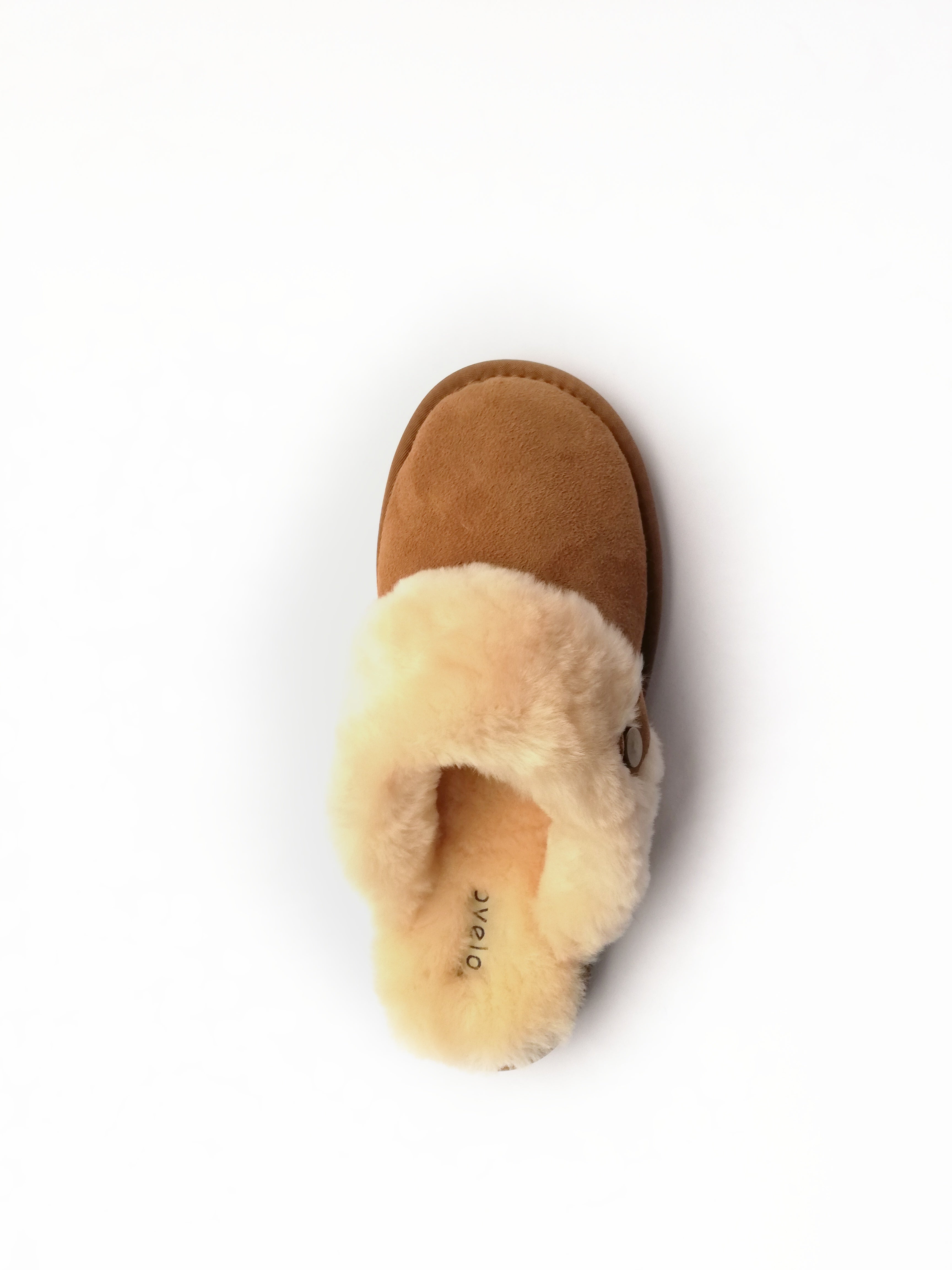 Camel Slipper